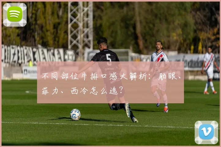 不同部位牛排口感大解析：肋眼、菲力、西冷怎么选？