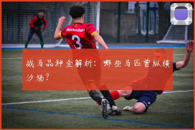 战马品种全解析：哪些马匹曾纵横沙场？