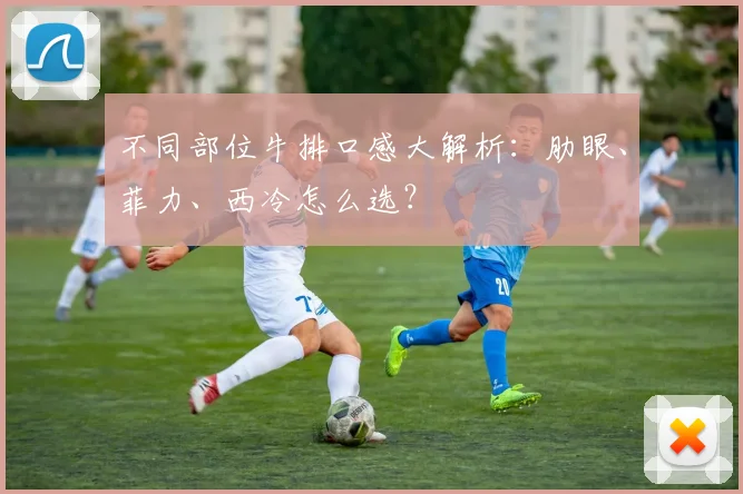 不同部位牛排口感大解析：肋眼、菲力、西冷怎么选？