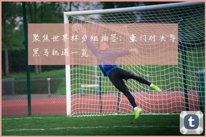 聚焦世界杯分组抽签：豪门对决与黑马机遇一览